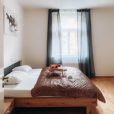 Friendly In Apartment
