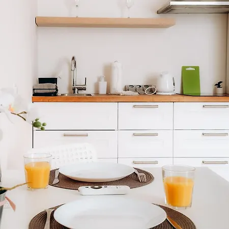 Friendly In Apartment Prague