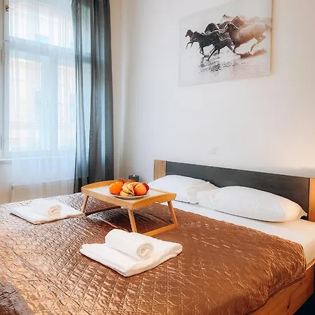 Friendly In Apartment Prague