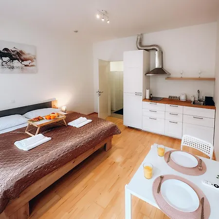 Friendly In Apartment Prague